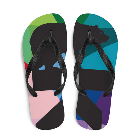 Karhu Flip-Flops/Shower Shoes - Pride